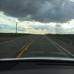 Meet your Posher, Louise